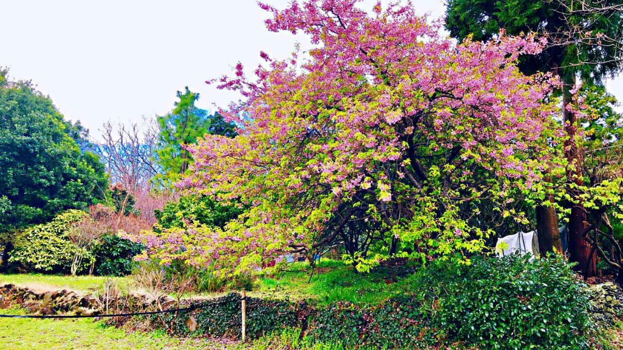 Forest Villa Olive Futo Екстериор снимка